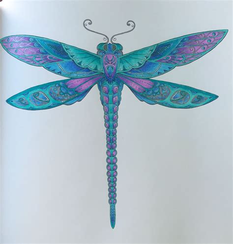 Dragonfly From Johanna Basfords Enchanted Forrest Coloured In