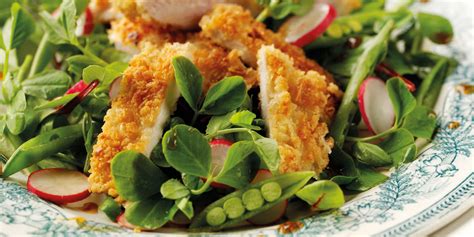 Crispy chicken with linguine and fresh herb pesto, pesto panko chicken tenders, dilled panko chicken strips, etc. Panko crusted chicken with Asian style pea shoots salad