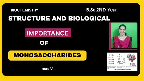 Structure And Biological Importance Of Carbohydrates Monosaccharides Bsc 2nd Year