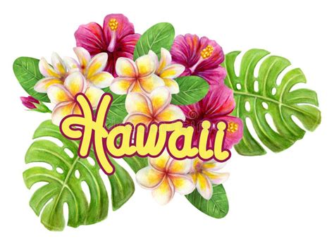 Hawaii Art Decor Hand Drawn Hawaiian Watercolor Painting With Hibiscus