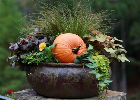Magnificent Fall Container Gardens You Need To See Top Dreamer