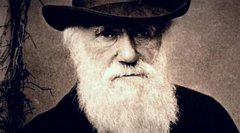 Kako Je Zapravo Nastala Darvinova Teorija Evolucije
