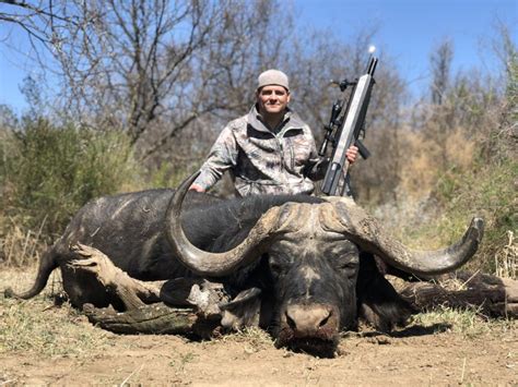 World Record Cape Buffalo Confirmed By Airgun Hunting Legion Airgun Wire