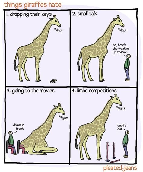 5 Giraffe Fun Facts You Didnt Know