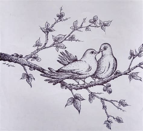 Love Birds Pencil Sketch Love Birds Drawing Abstract Sketches Bird