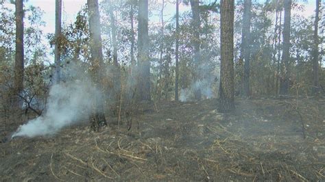 Statewide Burn Ban Lifted County Burn Bans Remain