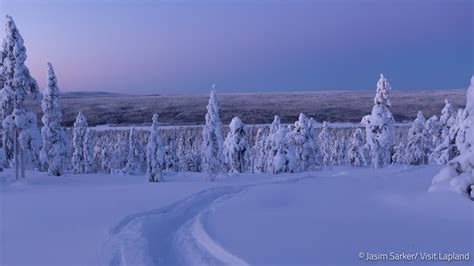 Polar Nights Are Over Daylight Time To Increase Fast In Finnish Lapland