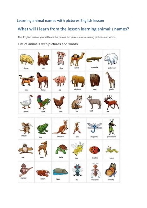 Discover their meaning, origin, popularity and more. Learning animal names with pictures english lesson