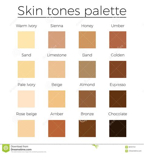 Skin Tones Color Palette Vector Stock Vector Illustration Of Glamour