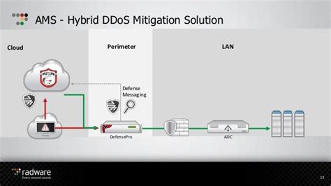 Radware Attack Mitigation System