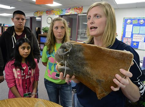 Hammond Oliver Students Get Hands On With Animal Anatomy Thanks To