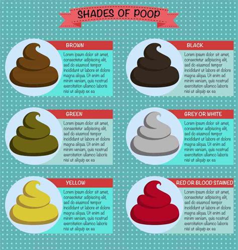 Types Of Poop What Doctors Need You To Know The Healthy Stool Color