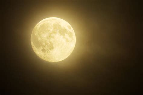 40 Free Supermoon And Moon Photos Pixabay