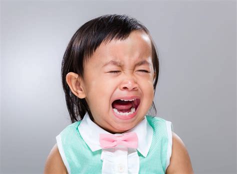 30 Reasons My Toddler Is Crying The Mom Forum