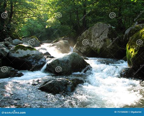 Mountain River Flowing Among Mossy Stones Stock Photo Image Of Leaf