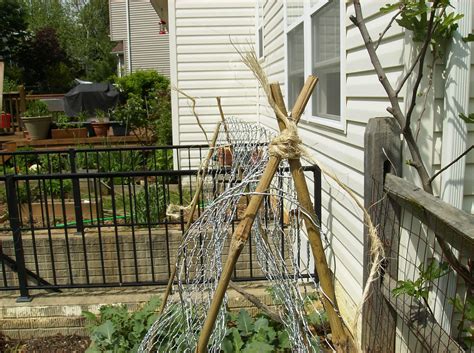 Building A Low Cost Vegetable Garden Trellis In Pictures The Poetic