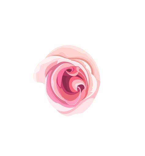 Premium Vector Pink Rosebud