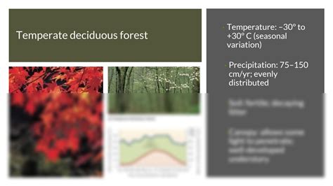 Solution Env Temperate Deciduous And Boreal Forests