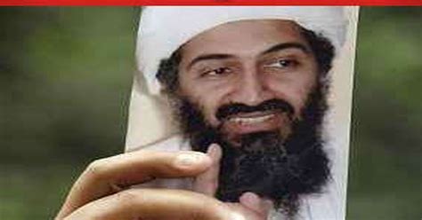 Bin Ladens Strong Al Qaida Role Daily Star