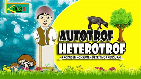 AUTOTROF DAN HETEROTROF Materi Pelajaran IPA Kelas 5 YouTube