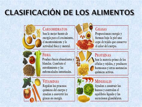 Clasificacion De Los Nutrientes De Los Alimentos Amoci