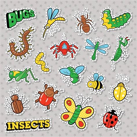 Best Cricket Insect Illustrations Royalty Free Vector Graphics And Clip
