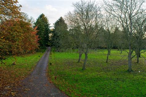 Path Covered By Leves In Autumn In English Countryside Stock Photo