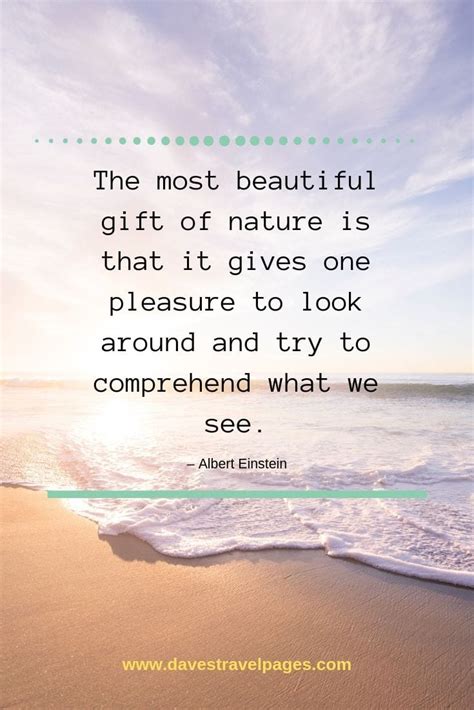 2023 Nature Quotes Collection Quotes On Nature Beauty
