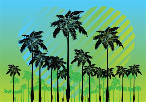 Free Palm Tree Vectors Vector Art And Graphics
