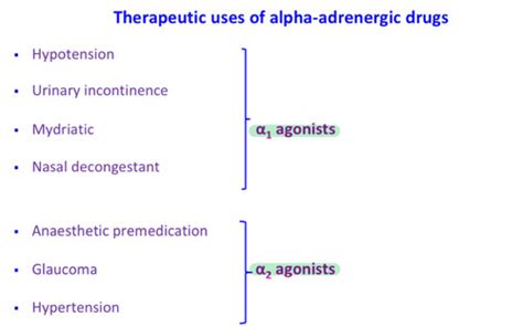 Adrenergic Agonist Drugs Alpha 1 And 2 Flashcards Quizlet