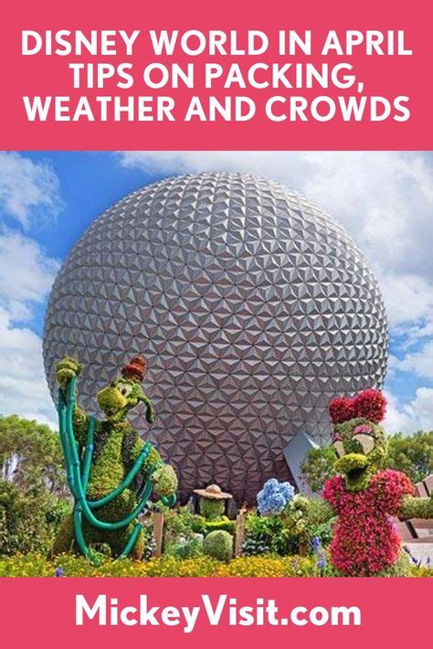 1505 Best Disney World Tips And Tricks Images In 2020 Disney World