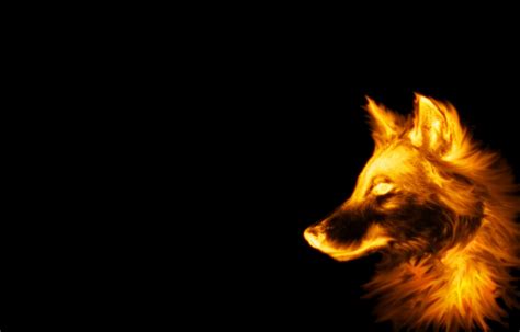 Cool Wolf Backgrounds Wallpaper Cave