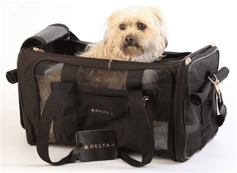 This pet carrier is approved by airlines and measures 11 inches in length and 18 inches in height, so flying with this particular pet carrier will be very perfect with smaller cats and dogs. 7 Of The Best Airline-Approved Dog Carriers For In-Cabin ...