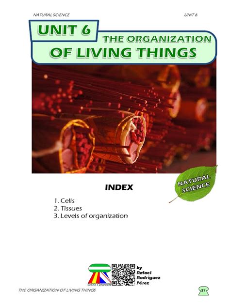 Students Booklet The Organization Of Living Things Tissue Biology