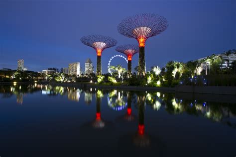 822998 4k 5k Gardens By The Bay Singapore Gardens Fairy Lights