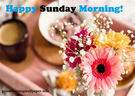 Good Morning Happy Sunday Wallpaper Images For Whatsapp And Facebook
