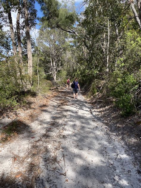 Best Of The Fraser Island Great Walk 3n4d Fraser Dingo 4wd