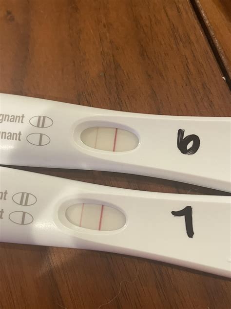Frer 6dp5dt 7dp5dt 11and12 Dpo Does Progression Look Ok For 24 Hours