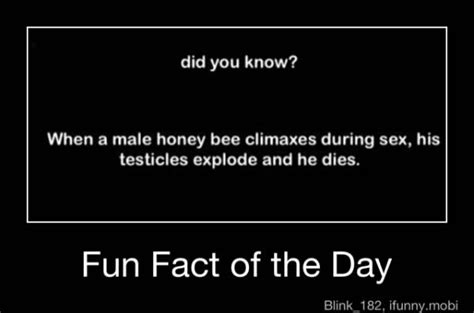Fun Fact Of The Day Funny Quotes Wtf Fun Facts Fun Facts