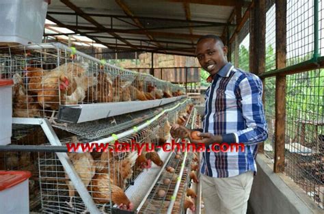 Powered by keylead @nima_keylead showcasing modern interiors & more @houses media partner www.grambutler.com. Design Poultry Farm House For Layer Chickens In Kenya ...