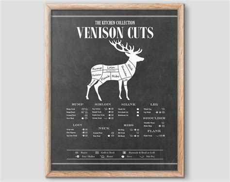 Butcher Poster Venison Cuts Deer Cuts Butcher Cuts Print Butcher