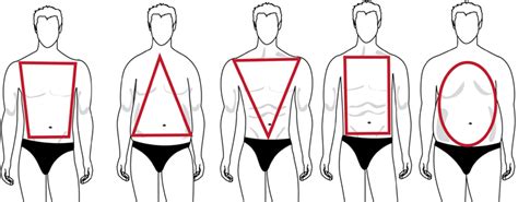 Men’s Body Shape Guide Fat Skinny Muscular Protechnotech