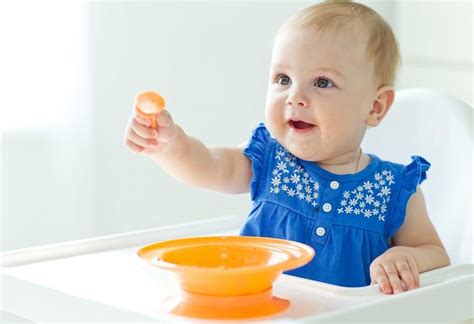 These foods include infant cereals, meat or other proteins, fruits, vegetables, grains, yogurts and cheeses, and more. 8 Months Old Baby Food Chart Along with Recipes