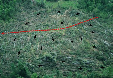 A downburst is a severe downburst, which usually occurs during thunderstorms, but can also occur downbursts are often responsible for serious damage that can reach those of moderately severe. How to distinguish between tornado and microburst ...