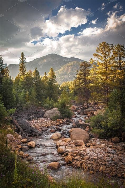 Rocky Mountain National Park Co By Barbara Stanaitis On