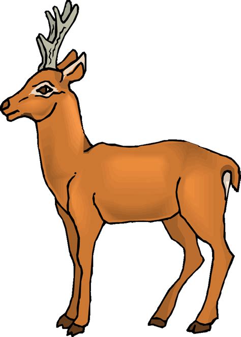 Young Deer Clipart 20 Free Cliparts Download Images On Clipground 2023