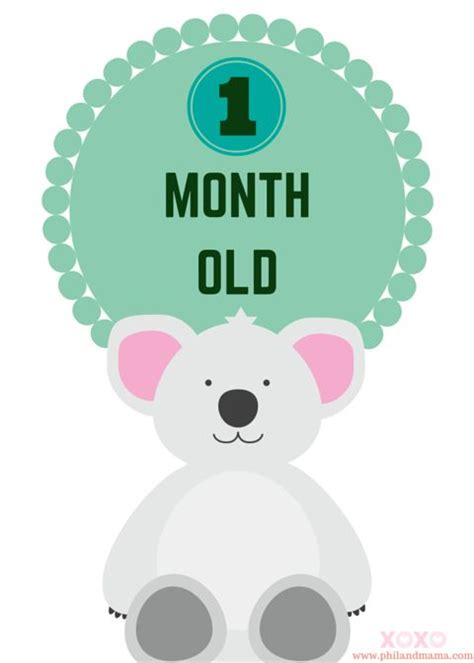 Super Cute And Free Printable Animal Themed Baby Monthly Milestone