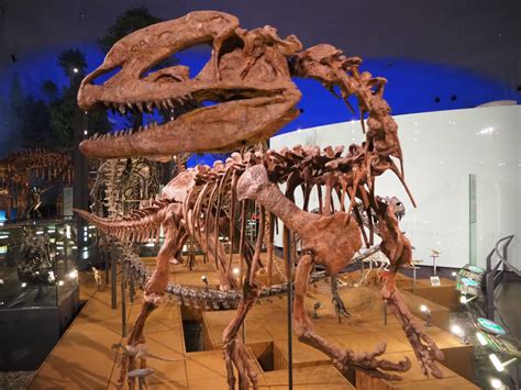 福井県立恐竜博物館 あわら市観光協会