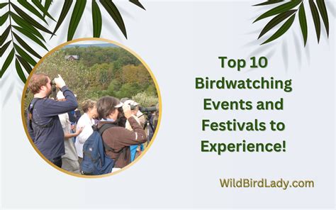 Top 10 Birdwatching Events And Festivals To Experience