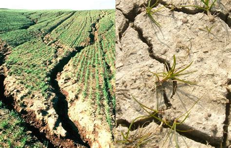 Types Of Soil Erosion And Conservation Methods Legitng